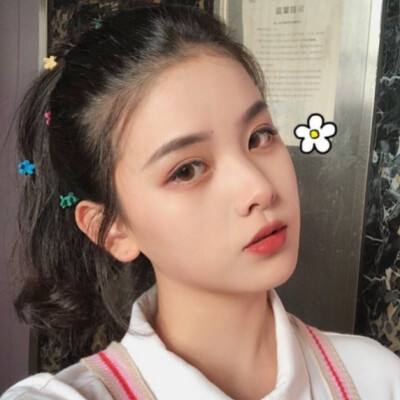 星海镖师最新版下载
